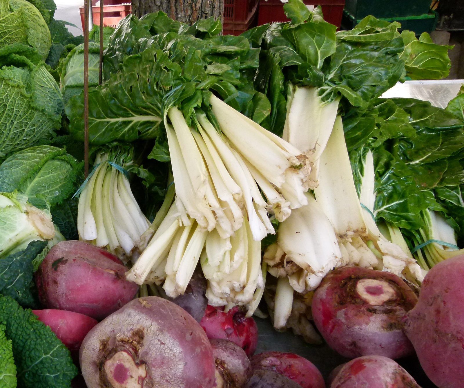 Bottes de blettes à larges côtes blanches sur un étal de marché, avec des betteraves et des choux frisés